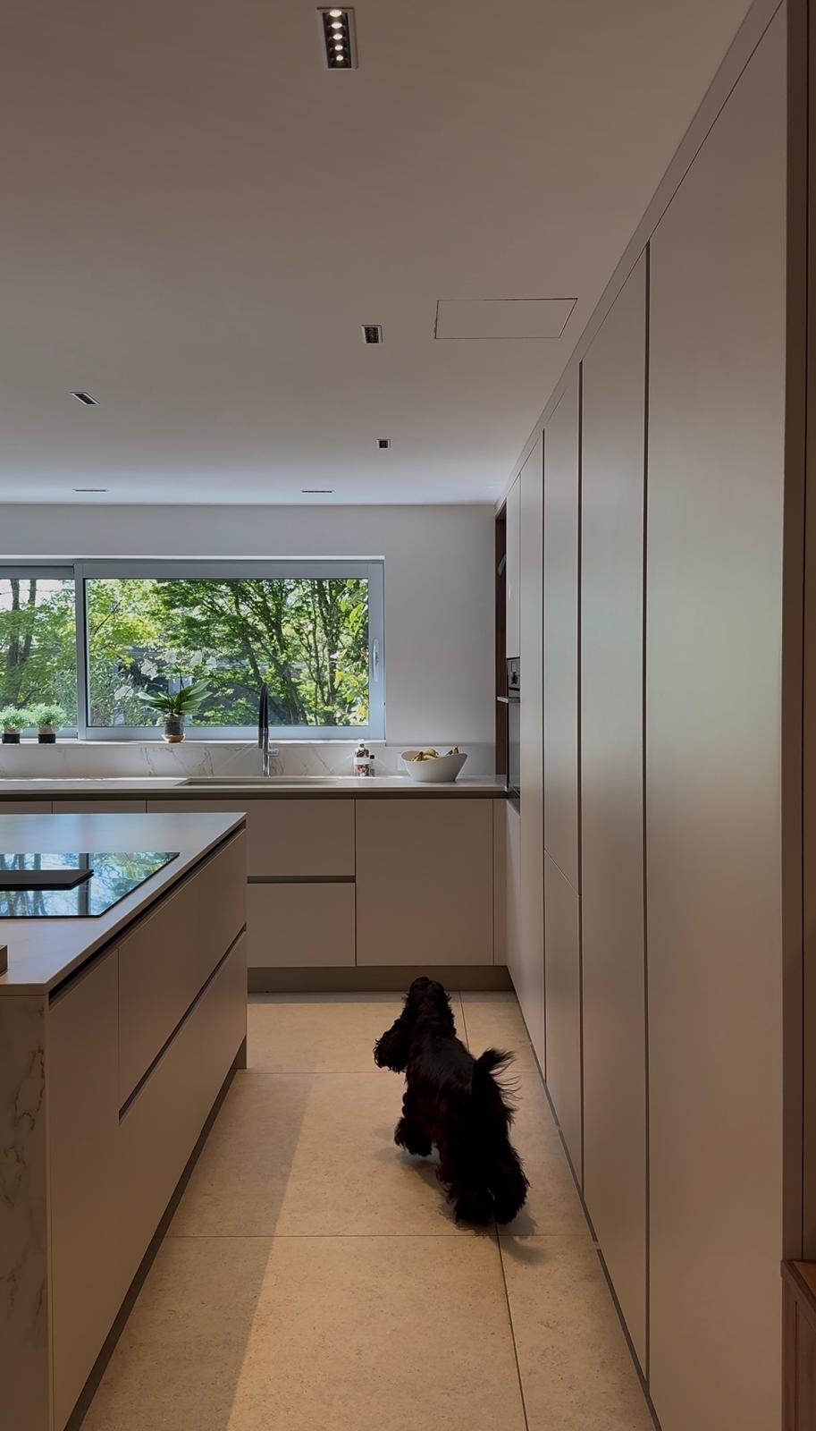 Cuisine Hochstatt — vue 6