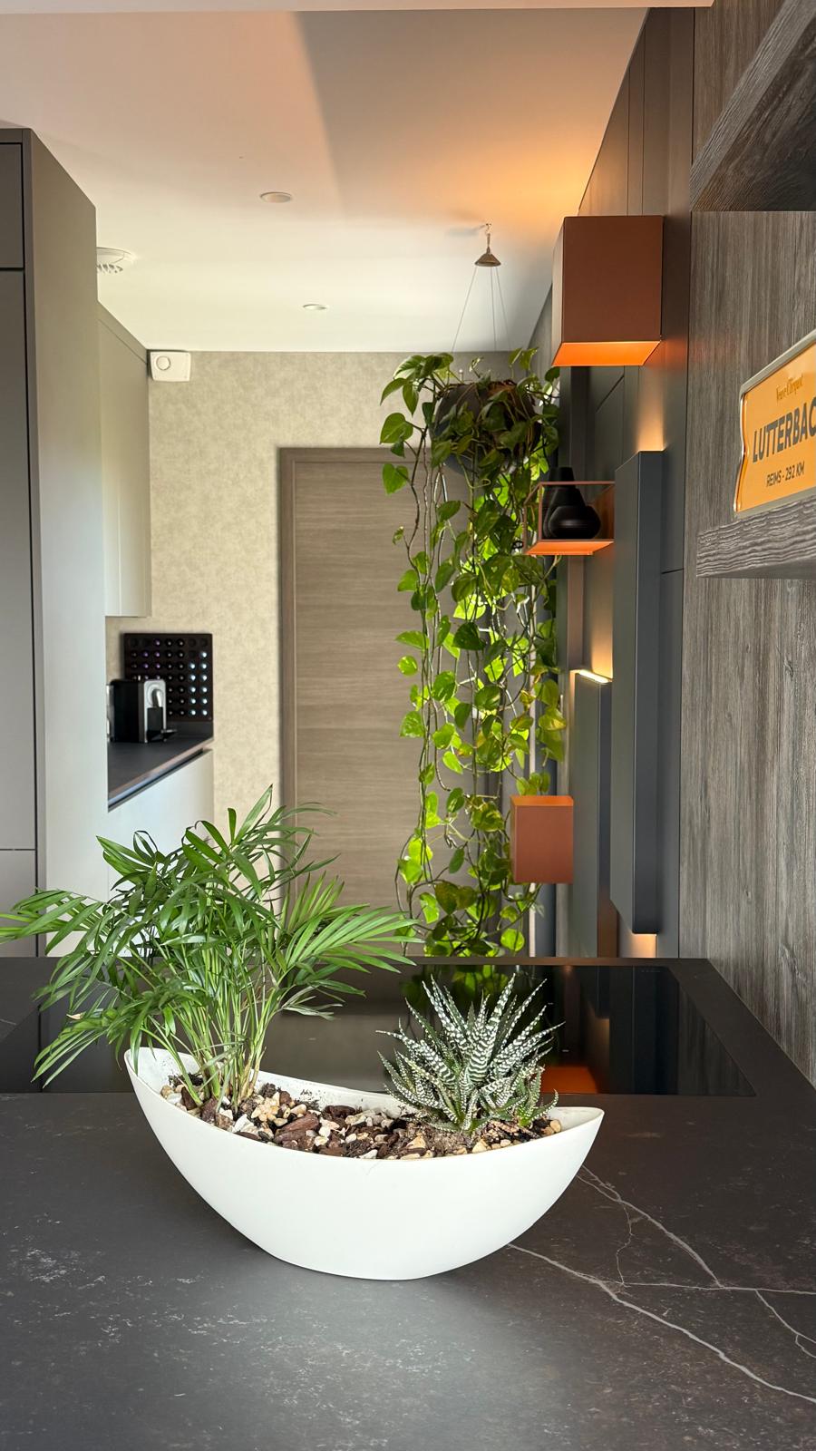 Cuisine Lutterbach — vue 6