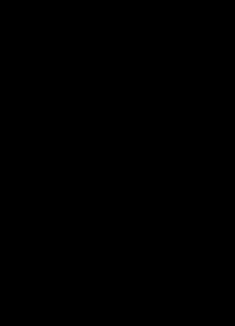 Laque mat noir
